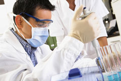 ISO 17025 Accredited Paternity Test in New Zealand
