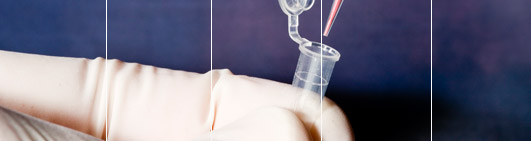 About Us - International DNA testing 