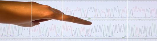 Obtain your electropherogram from easyDNA New Zealand