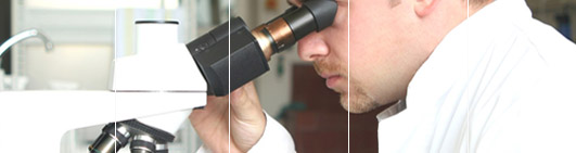 Your DNA Testing questions answered through our extensive FAQs