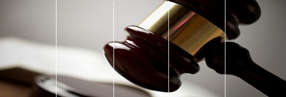 Legal DNA Paternity Test