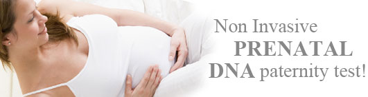 Science behind Prenatal Paternity Testing by easyDNA New Zealand Science behind Prenatal Paternity Testing by easyDNA New Zealand